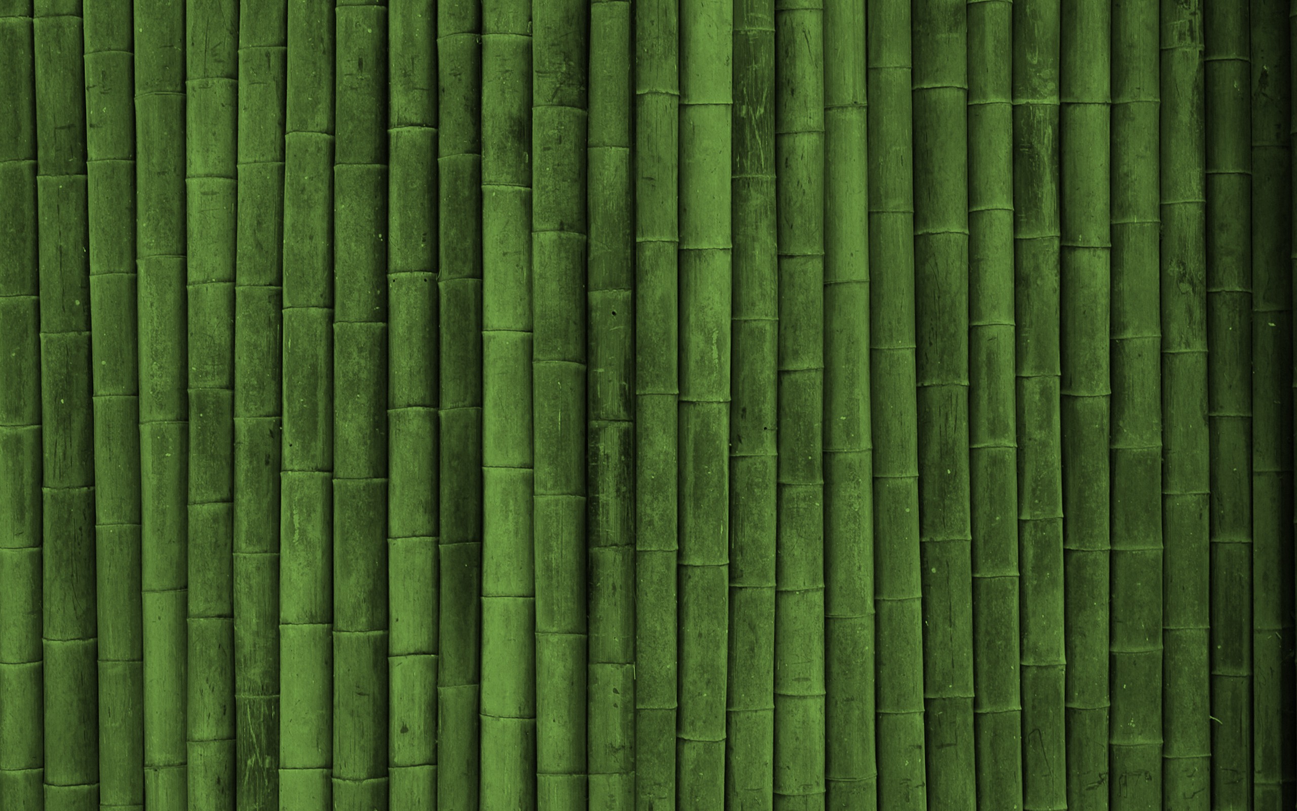 minimalism, Bamboo Wallpaper