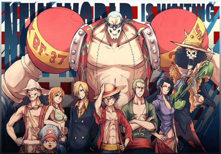 anime, One Piece HD Wallpaper Desktop Background
