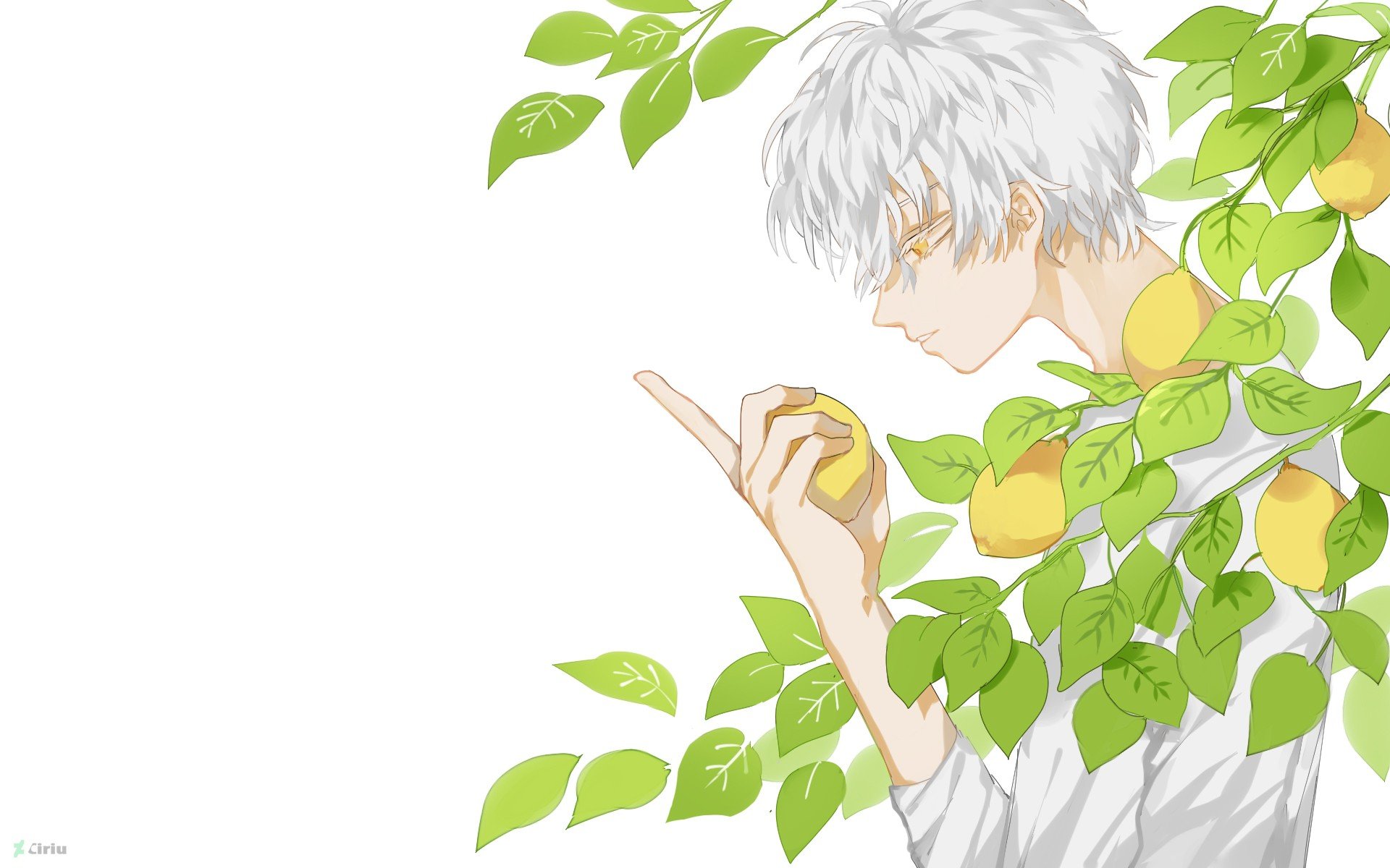 white hair, Original characters, Lemons Wallpaper