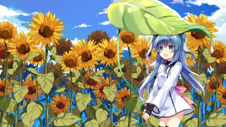 long hair, Blue hair, Blue eyes, Anime, Anime girls, Sora no Method, Noel (Sora no Method), Dress, Sunflowers HD Wallpaper Desktop Background
