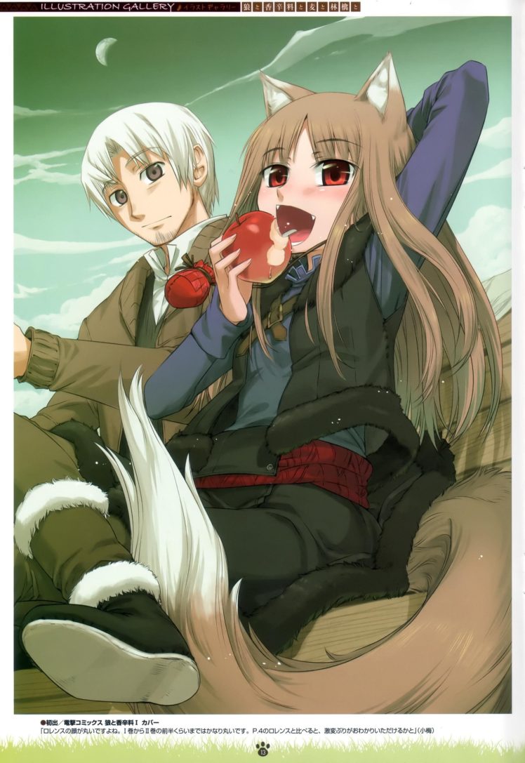 anime, Spice and Wolf HD Wallpaper Desktop Background