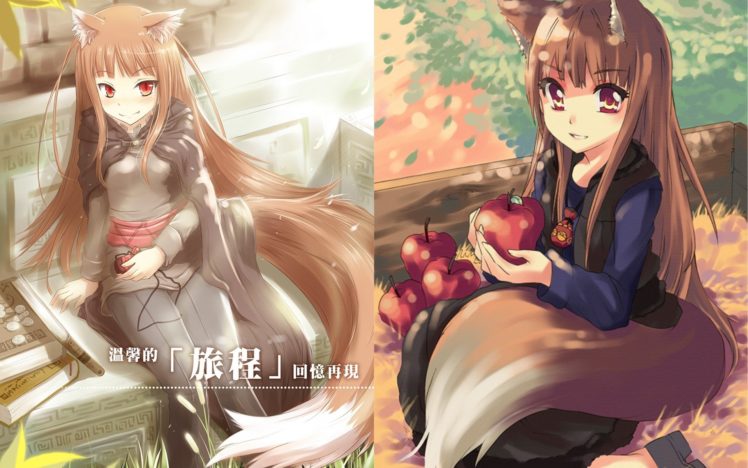 anime, Spice and Wolf HD Wallpaper Desktop Background