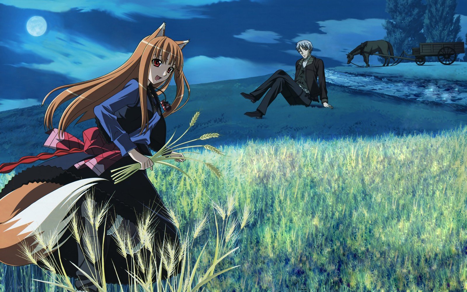 Anime Spice and Wolf HD Wallpaper