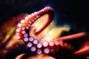 octopus, Tentacles, Underwater, Blurred