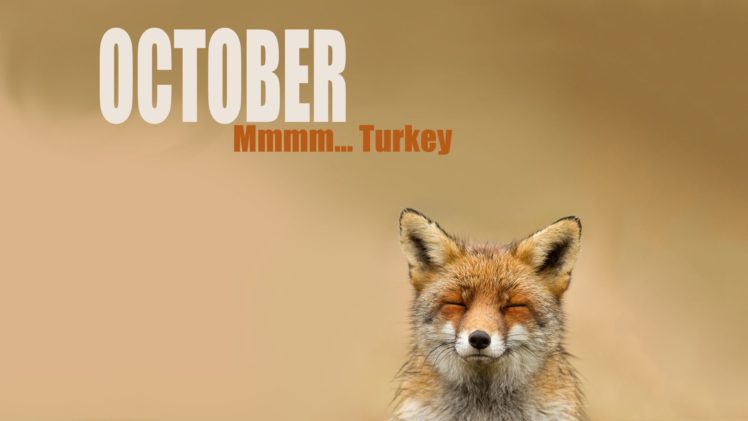 october, Month, Fox HD Wallpaper Desktop Background