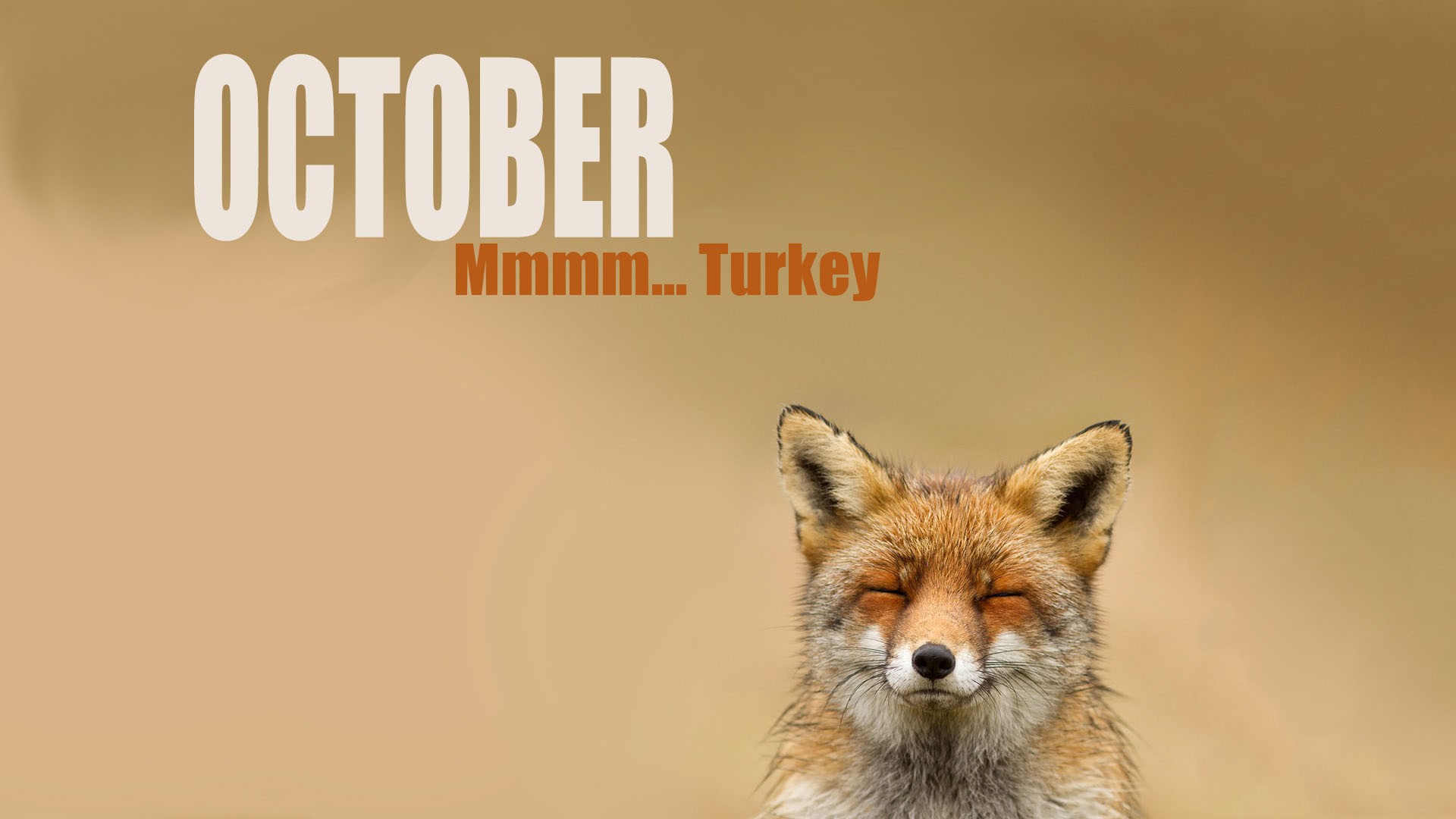 october, Month, Fox Wallpaper