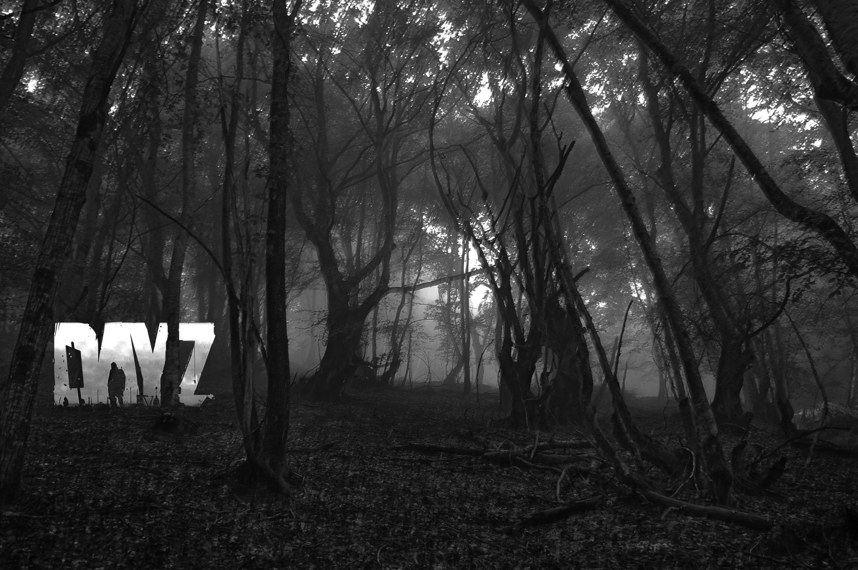 DayZ Wallpaper