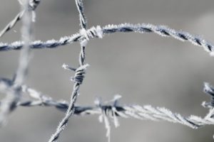 closeup, Barbed wire, Ice, Macro, Frost
