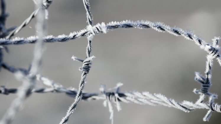 closeup, Barbed wire, Ice, Macro, Frost HD Wallpaper Desktop Background