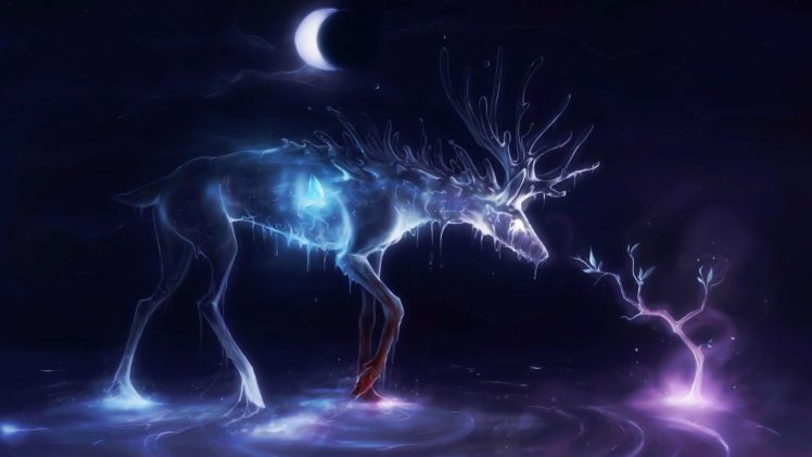 deer HD Wallpaper Desktop Background