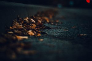 macro, Road, Leaves, Dark