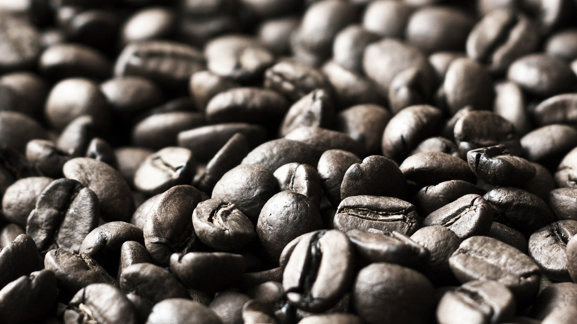 depth of field, Macro, Coffee beans Wallpaper