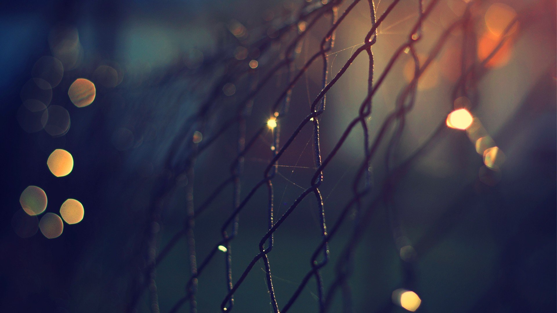 depth of field, Fence Wallpaper