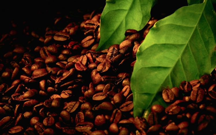 macro, Coffee beans, Leaves HD Wallpaper Desktop Background