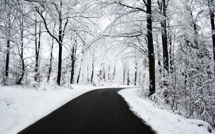 road, Snow, Trees HD Wallpaper Desktop Background