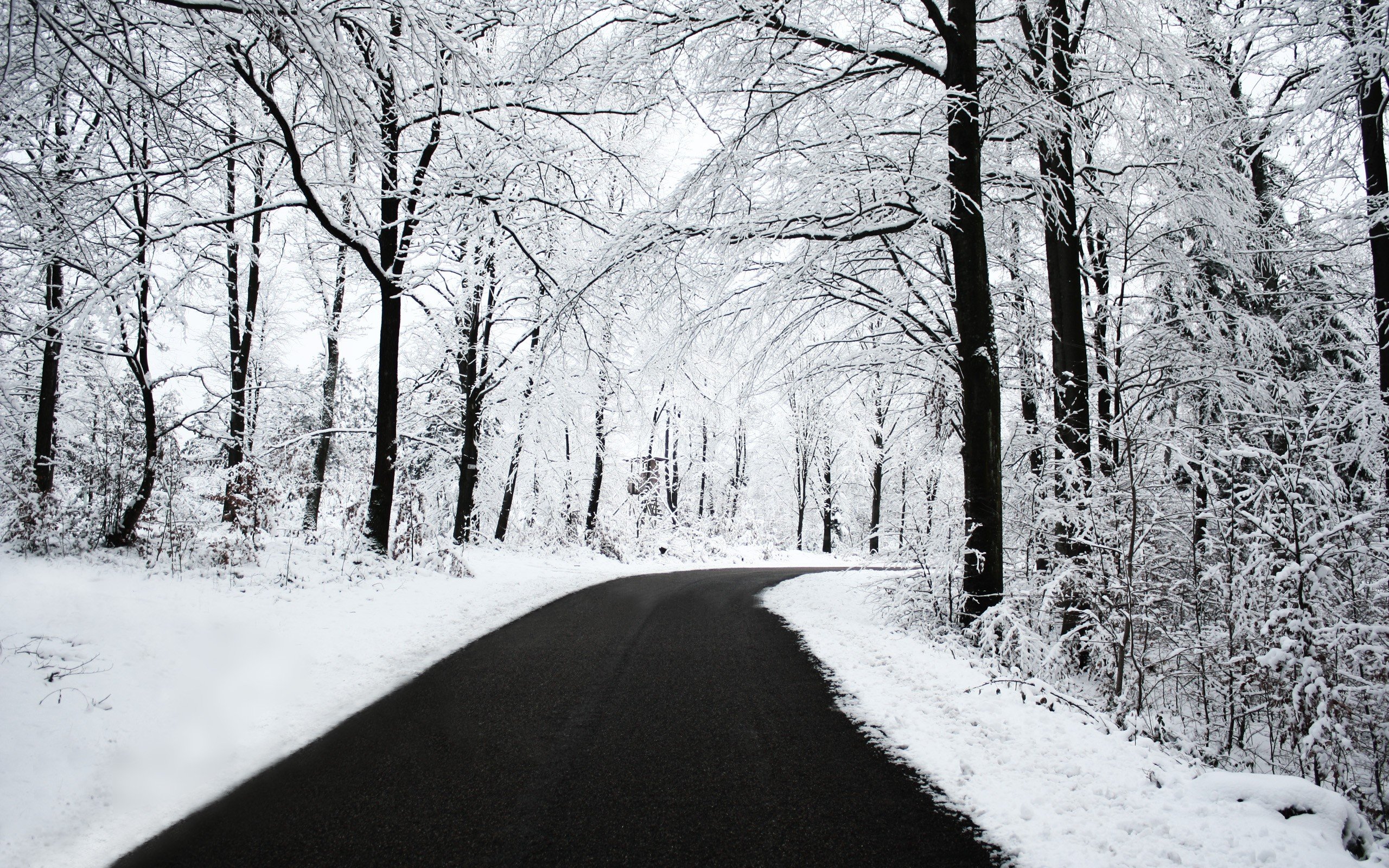 road, Snow, Trees Wallpaper