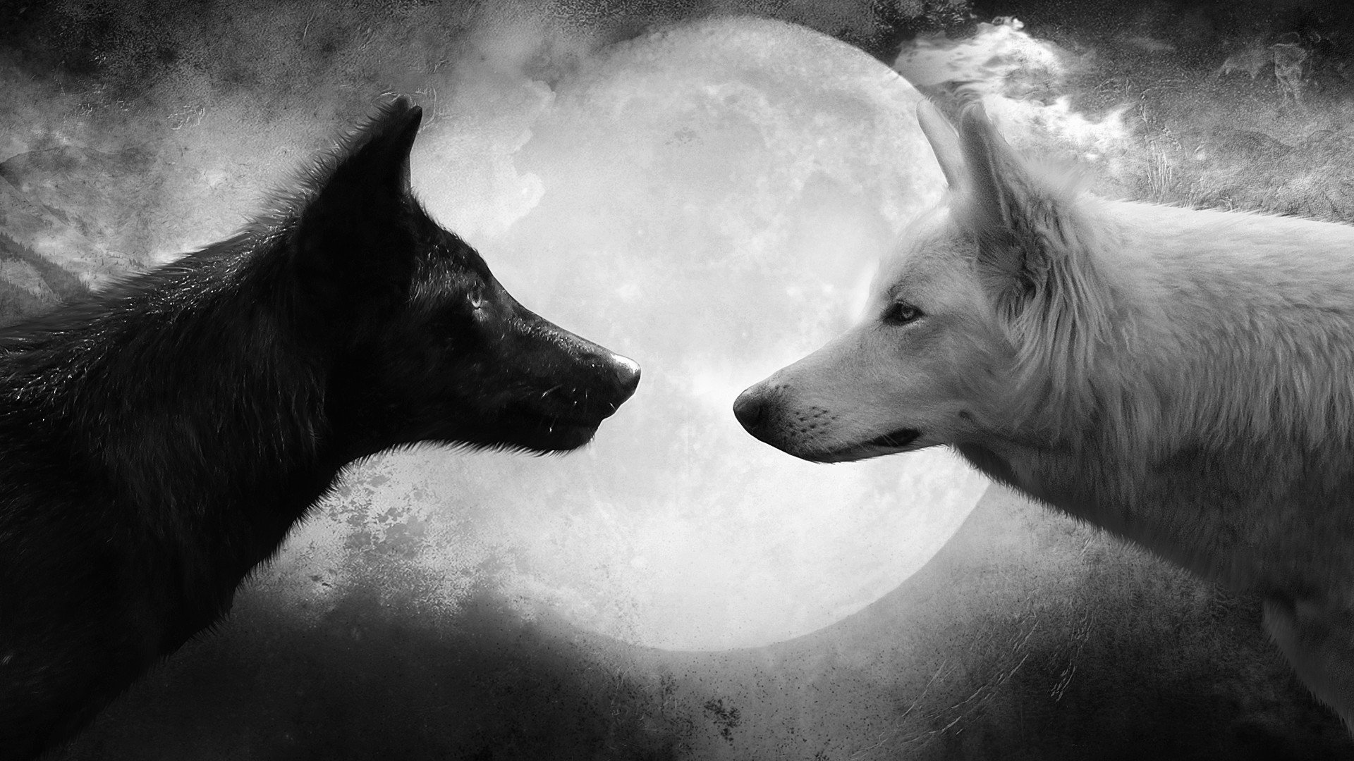wolf, Black, White, Moon Wallpaper