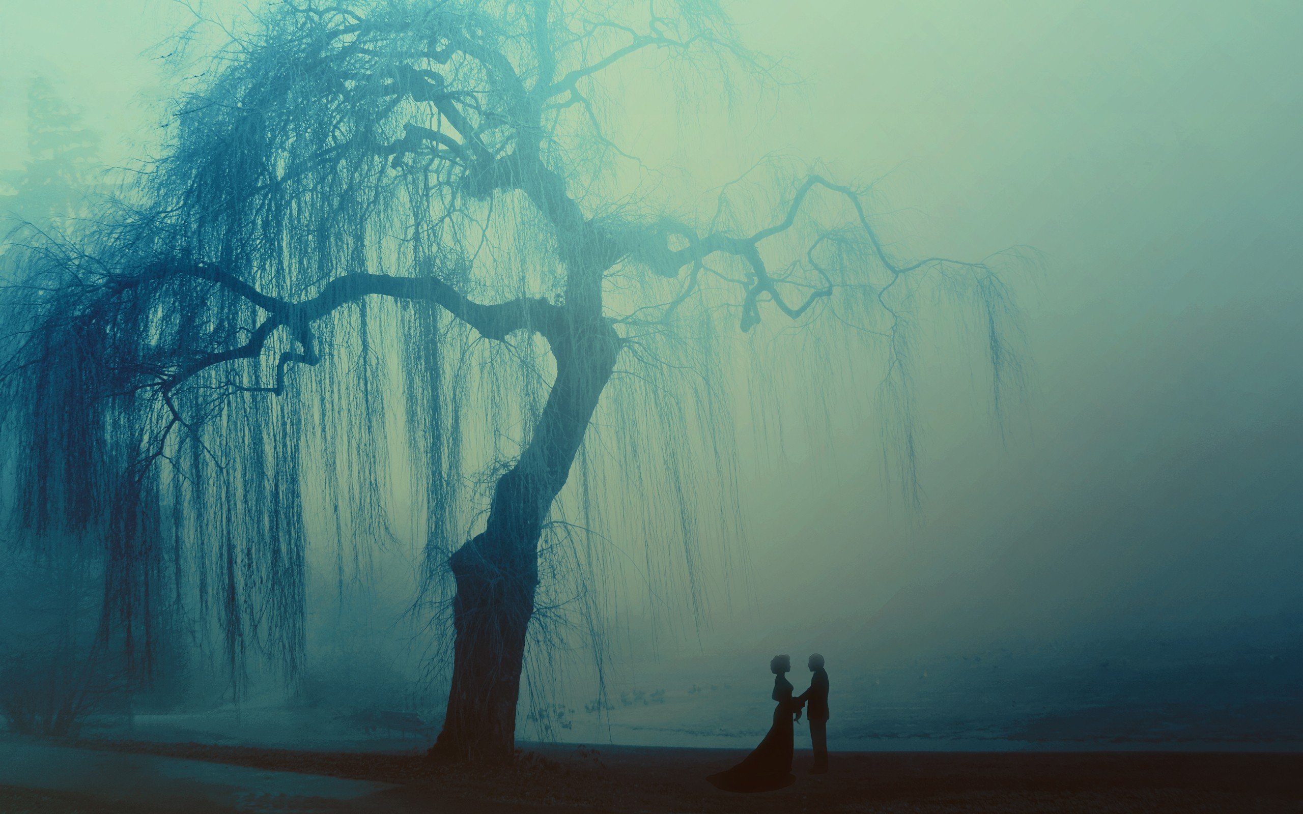 weeping willows Wallpaper
