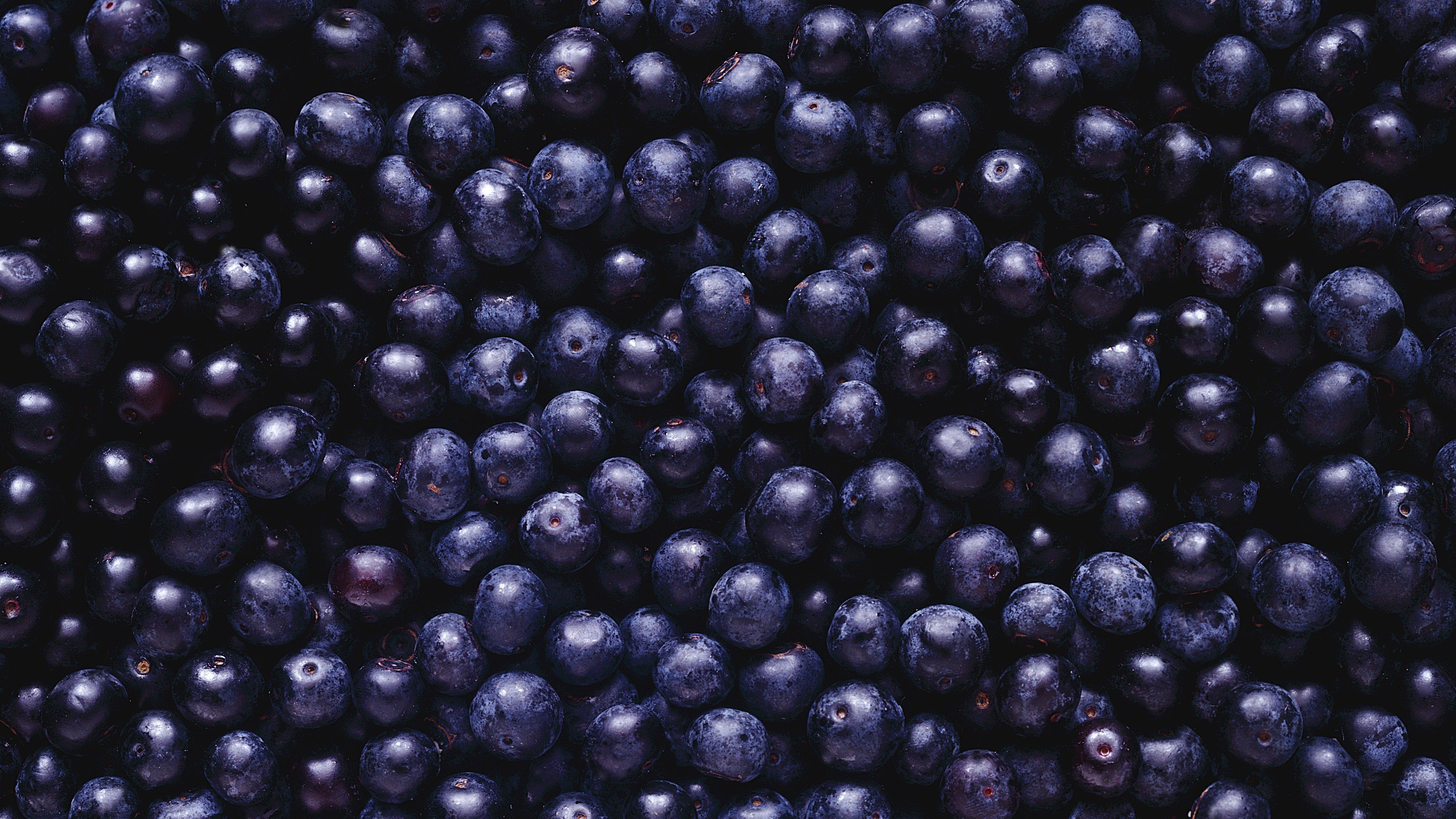 blueberries, Food Wallpaper