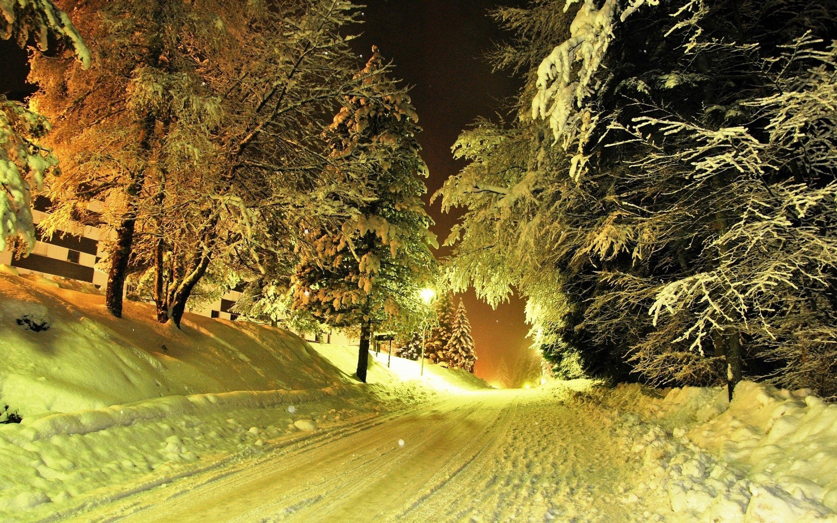 road, Snow, Trees, Lights Wallpaper