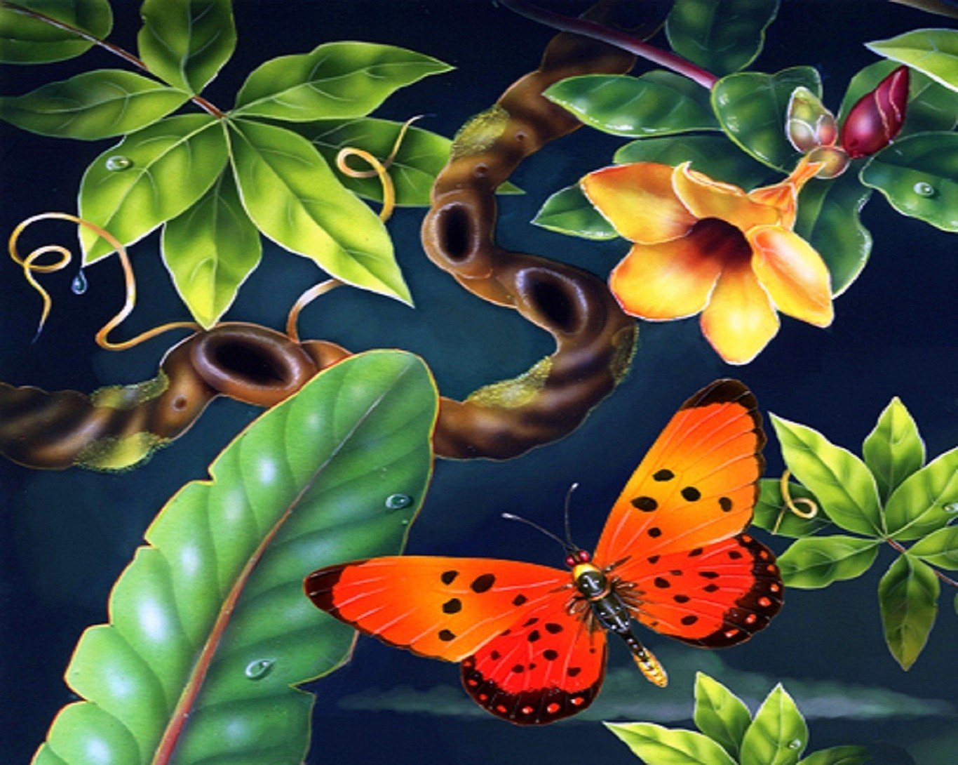 butterfly Wallpaper