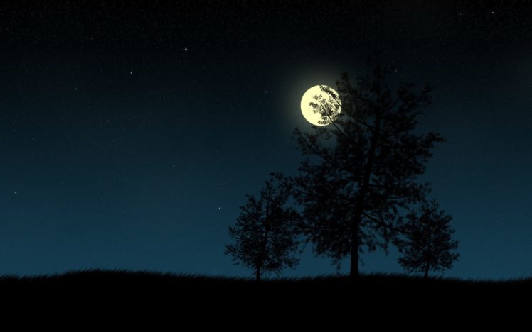moon, Trees, Night HD Wallpaper Desktop Background
