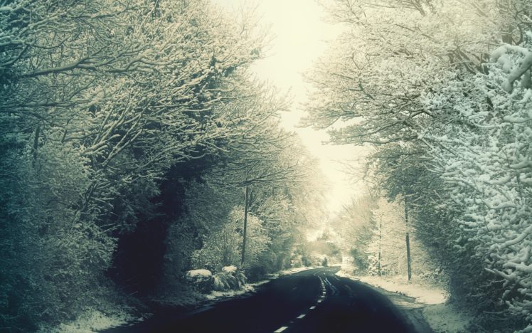 snow, Trees, Road HD Wallpaper Desktop Background
