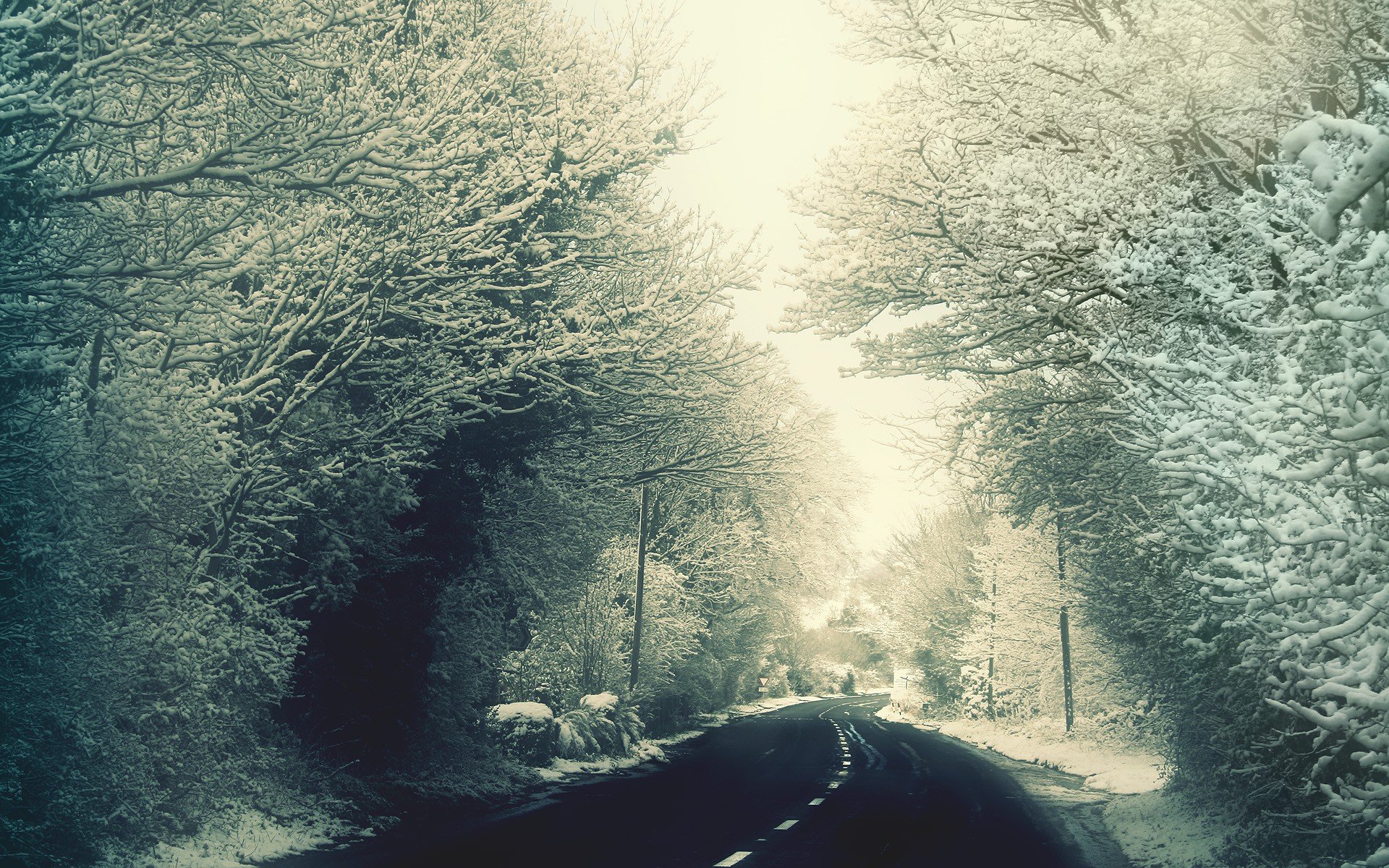 snow, Trees, Road Wallpaper