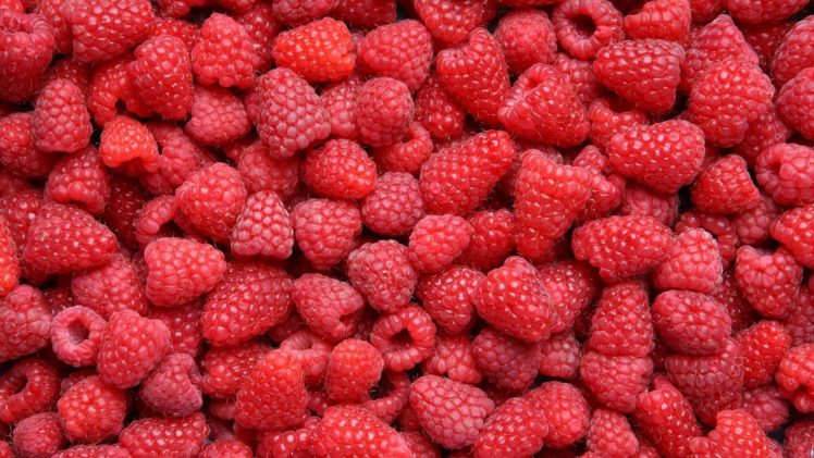 berries, Raspberries HD Wallpaper Desktop Background