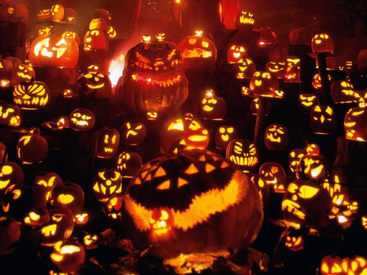 Halloween, Pumpkin, Jack O Lantern HD Wallpaper Desktop Background