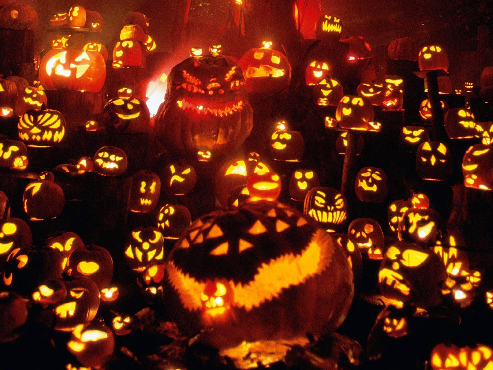 Halloween, Pumpkin, Jack O Lantern HD Wallpapers / Desktop and Mobile