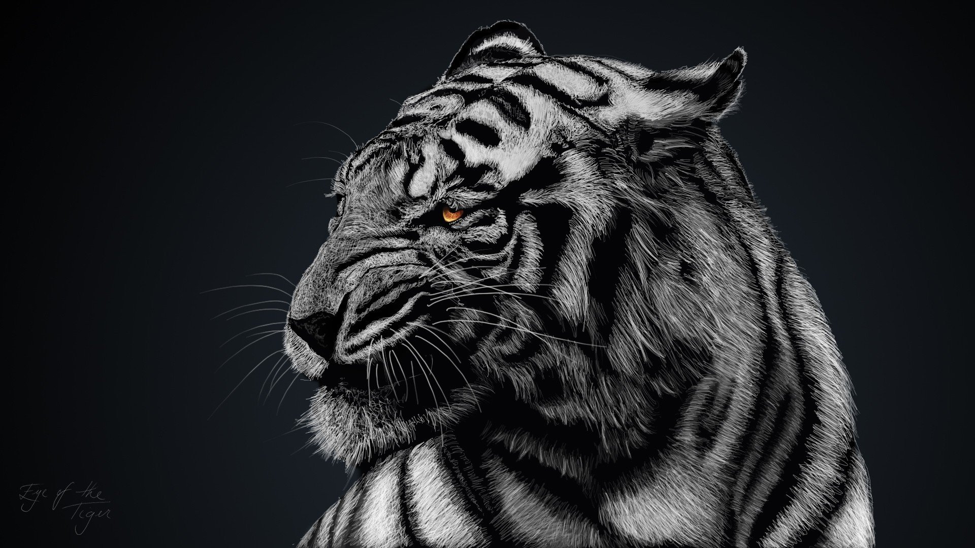 Tiger Animal 4K Wallpaper iPhone HD Phone 6090f