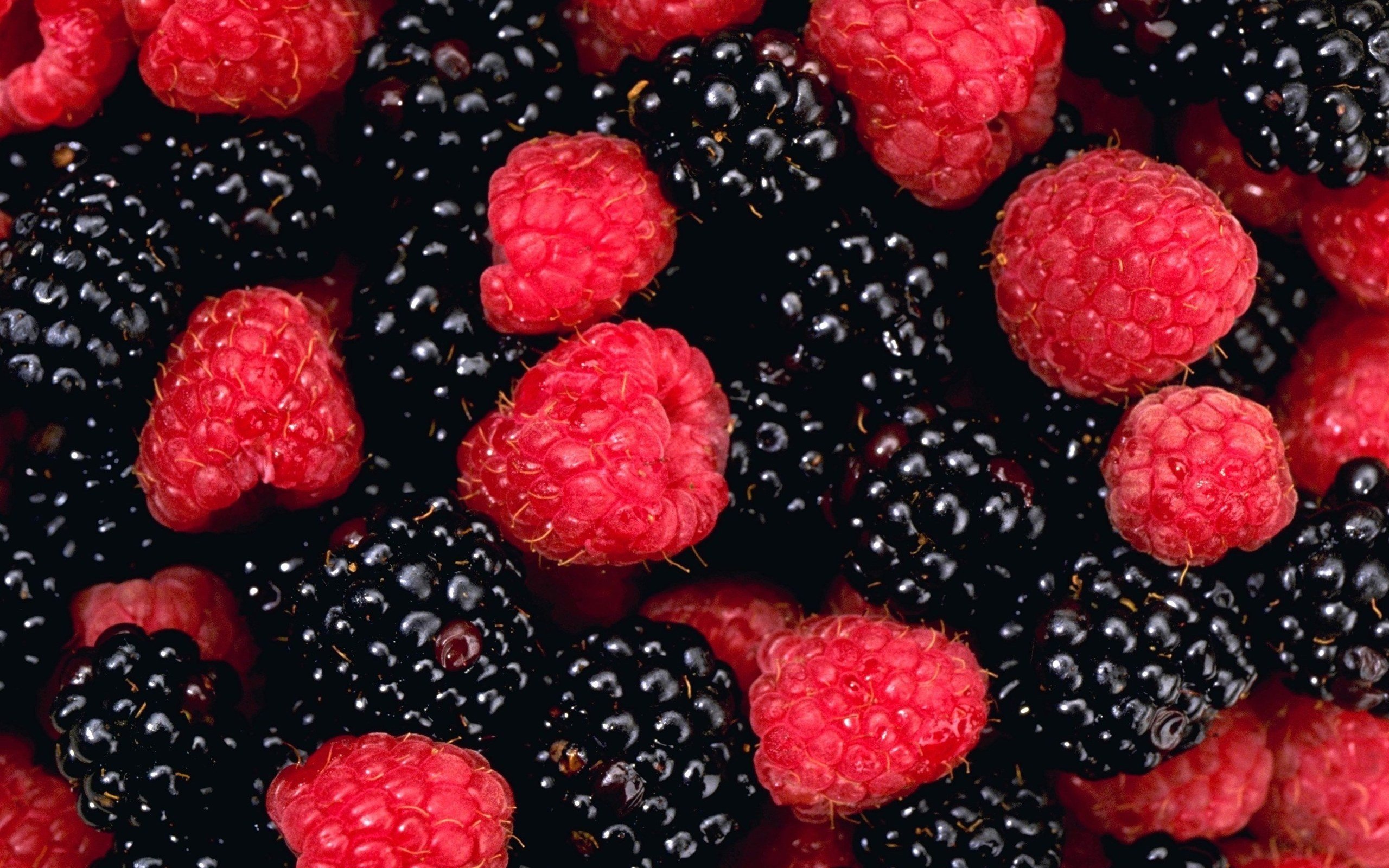 raspberries, Food Wallpaper