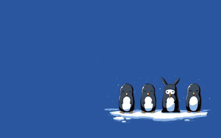 penguins, Simple background HD Wallpaper Desktop Background