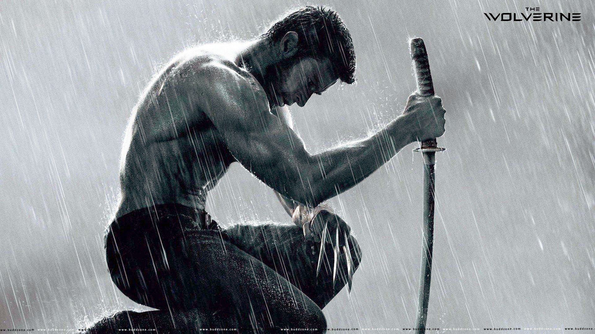 sword, Wolverine, Shirtless Wallpaper