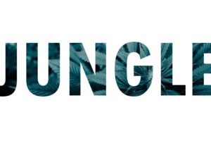 jungle music