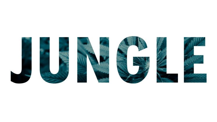jungle music HD Wallpaper Desktop Background