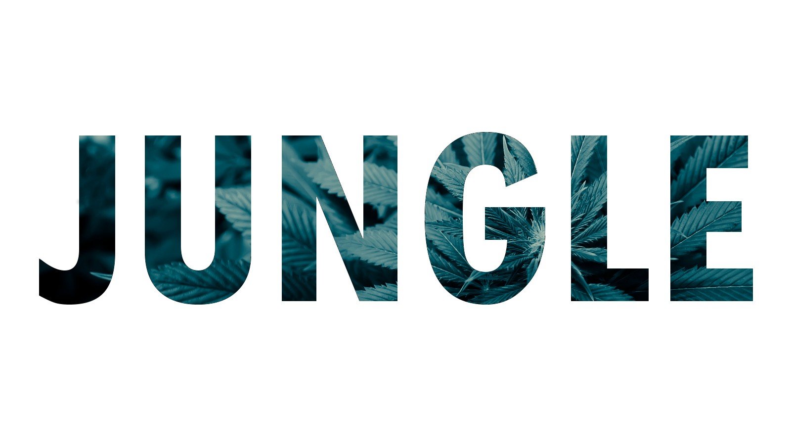 jungle music Wallpaper