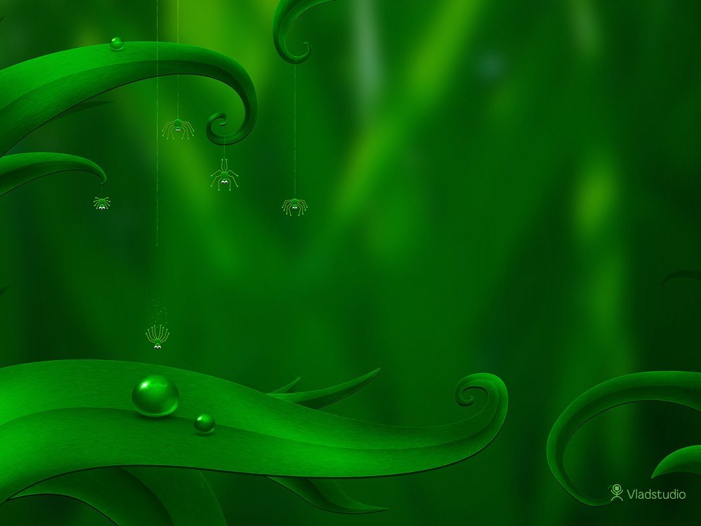 Vladstudio, Leaves, Water drops, Spider, Green background Wallpaper
