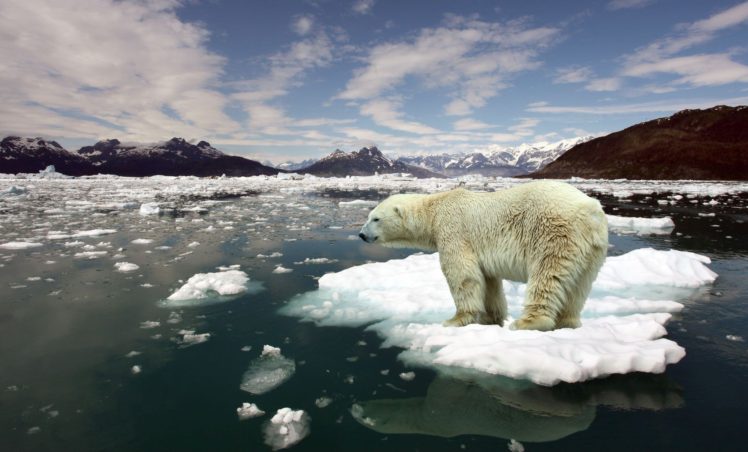 global warming HD Wallpapers / Desktop and Mobile Images & Photos