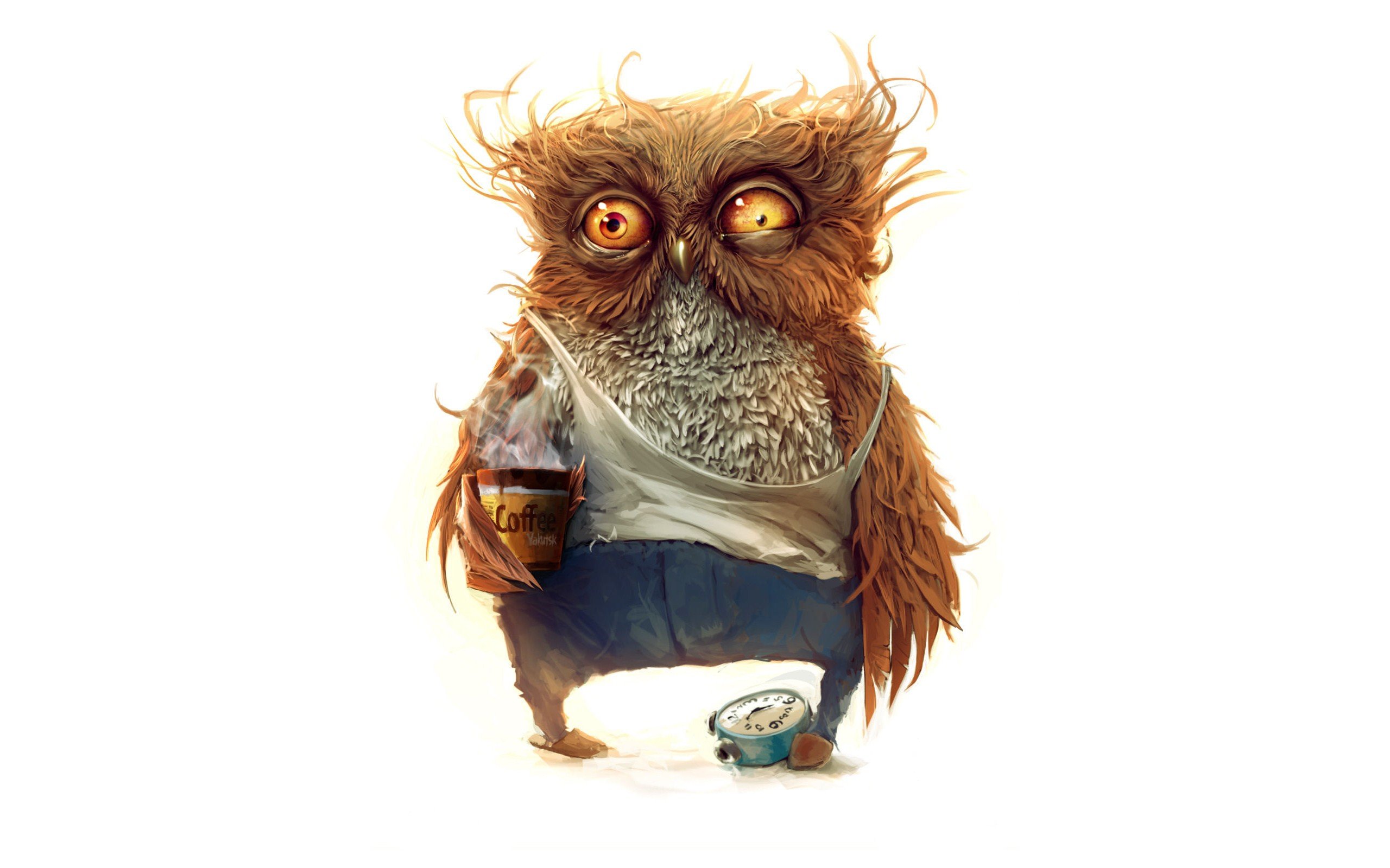coffee, Owl, Morning Wallpaper