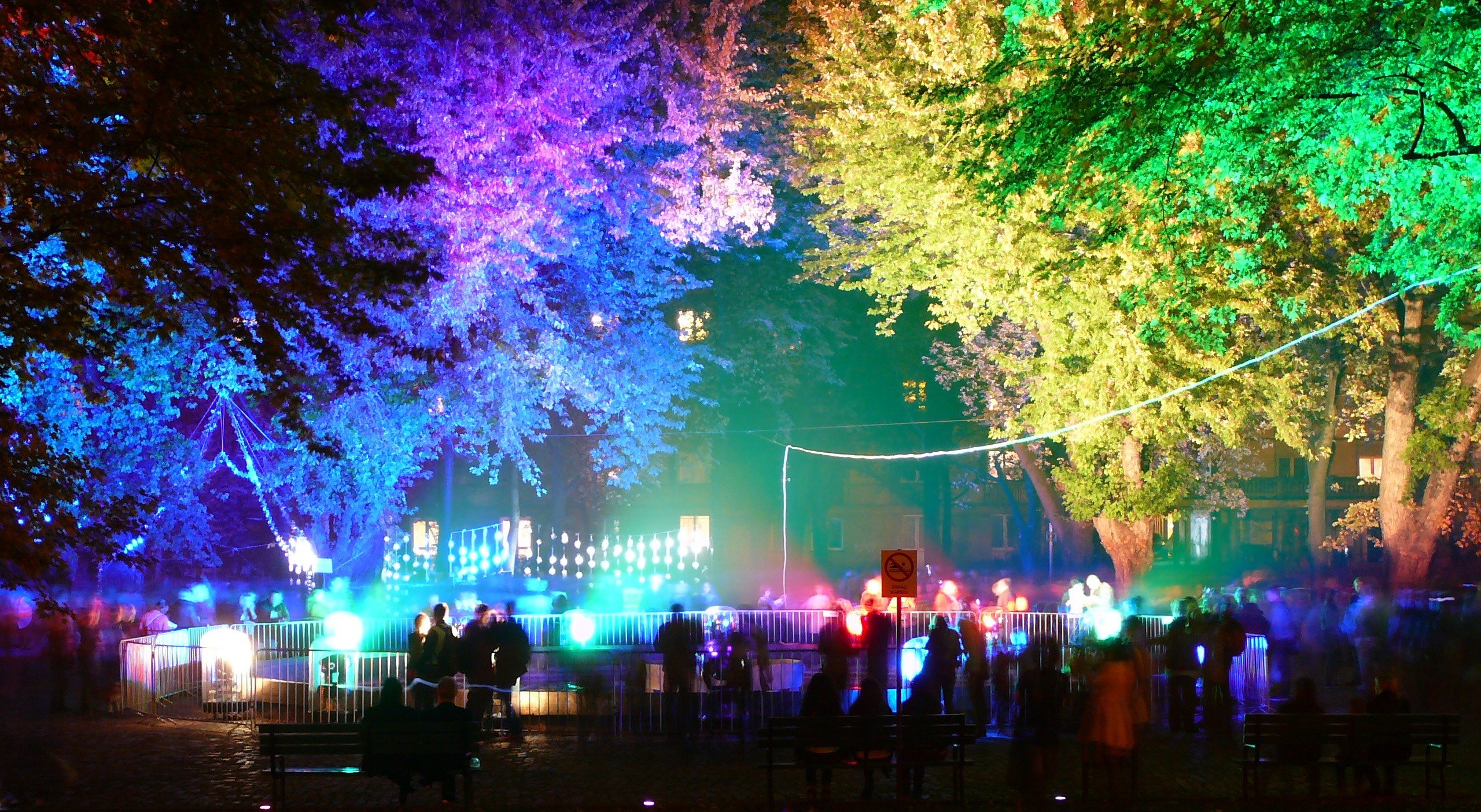 colorful, Trees, Lights Wallpaper