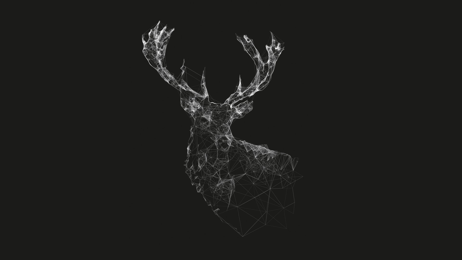 deer, Lines, Minimalism, Wireframe Wallpaper