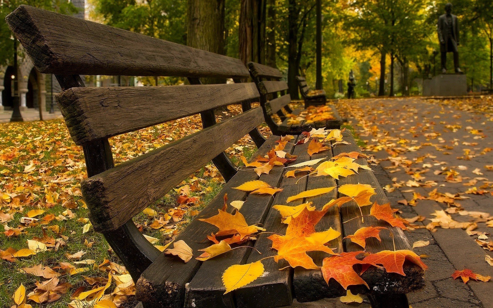 bench, Leaves, Fall, Pavements Wallpaper