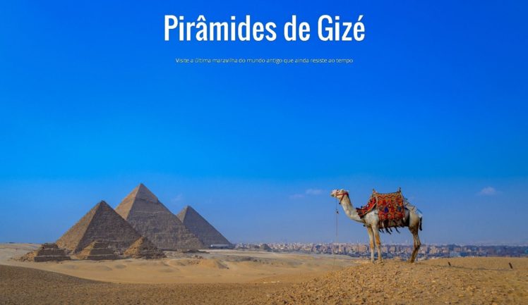 Camelo, Gize HD Wallpaper Desktop Background