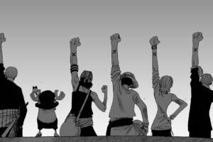One Piece, Roronoa Zoro, Tony Tony Chopper, Usopp, Monkey D. Luffy, Nami, Sanji