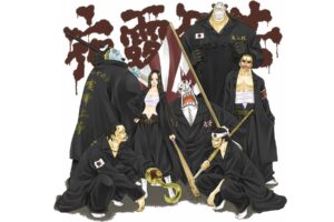 Dracule Mihawk, One Piece, Boa Hancock, Crocodile (character), Jinbei, Donquixote Doflamingo