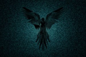 parrot, Parrot security, Linux, Debian, Hacking