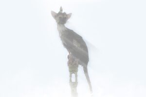 Trico, The Last Guardian, PlayStation 4