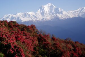 Nepal, Himalayas, Mountains